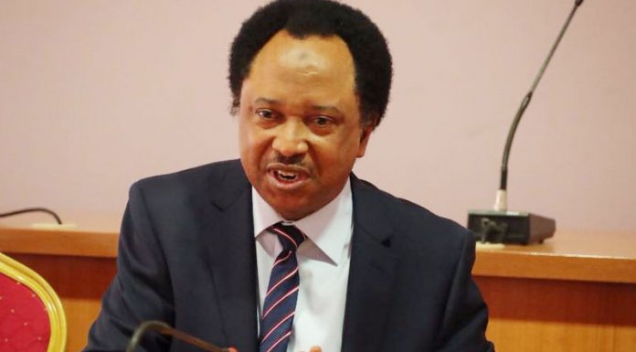 Shehu Sani: Wadume Saga Has Confirmed Danjuma’s Allegation against Army